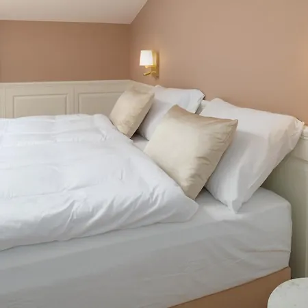 호텔 & Restaurant Chateau Trnova 4*
